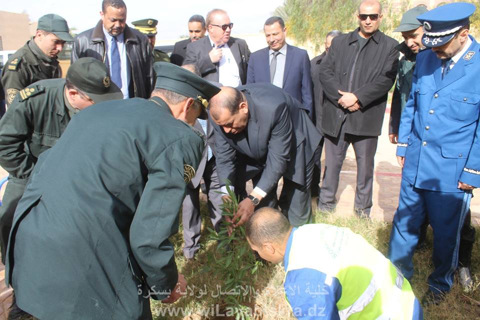 اليوم العالمي للغابات