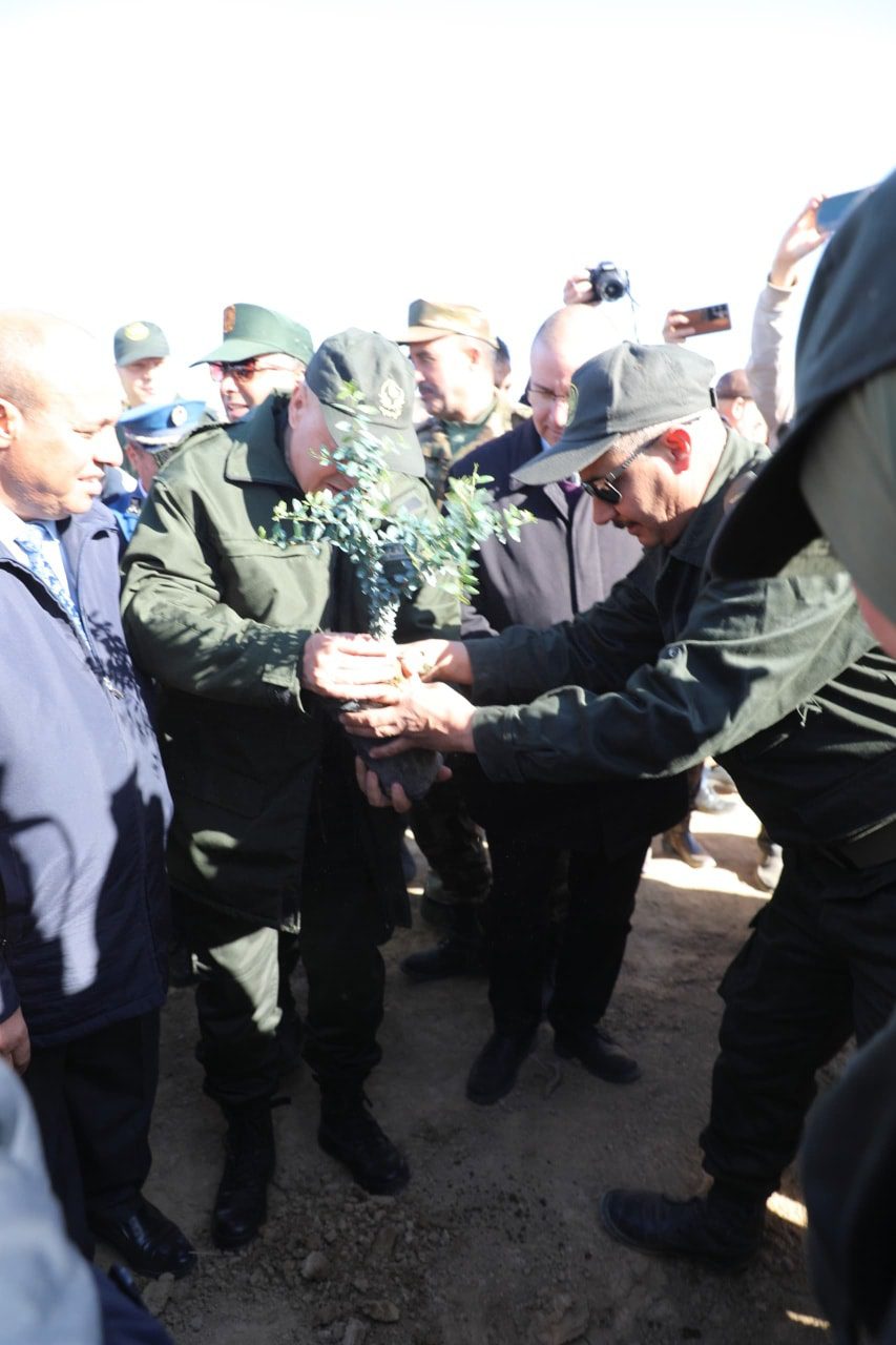 المبادرة الوطنية الثانية لغرس 05 مليون شجرة